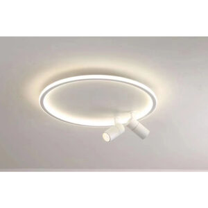 AMORA LED 50cm Ceiling lamp