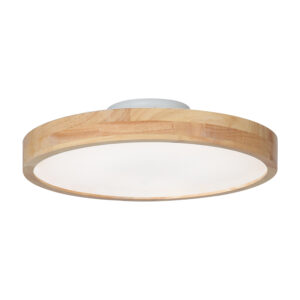 KAREN LED 40cm Ceiling lamp with RC