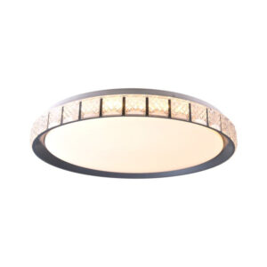 NINA LED 49cm Ceiling lamp with RC